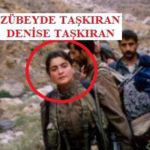 Terörist kardeşler yakalandı! Terör örgütünün Avrupa ayağına ciddi darbe