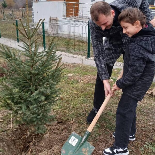 Bolu’da fidanlar yere çakıldı – Son Dakika Haberi