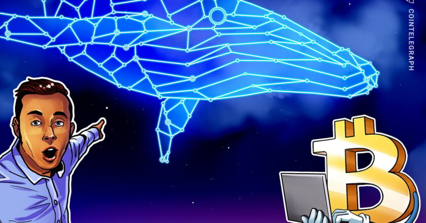 On iki yıl sabreden balina 116 milyon dolarlık Bitcoin’i işleme koydu