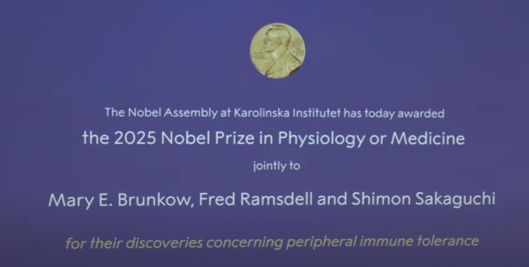 2025 Nobel Tıp Ödülü'nün sahipleri açıklandı! 2025 Nobel Tıp Ödülü'nü kim kazandı? 2