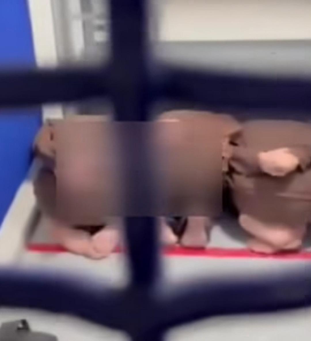 İsrailli bakandan Filistinliler için dehşet verici sözler: 