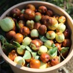 Edirne’de “ölümsüzlük meyvesi”: C, B1, B2 ve B6 vitaminleriyle dolu!