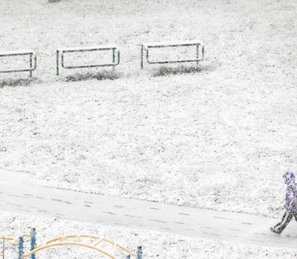 Kış Yaklaşıyor: Kar, Buz ve Don Tehlikesi!